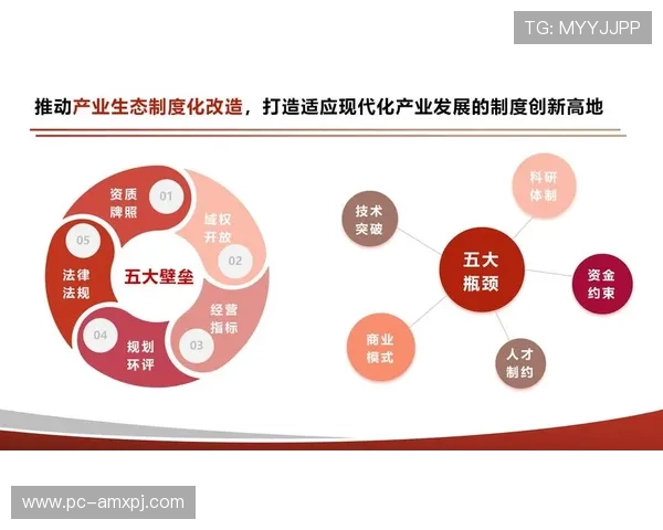 新葡的京：探索澳门博彩业的未来发展新趋势与创新模式