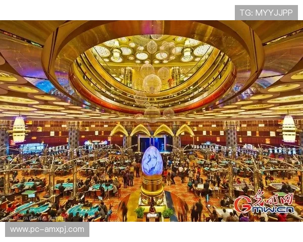 新普京娱乐城：体验豪华娱乐享受极致博彩乐趣