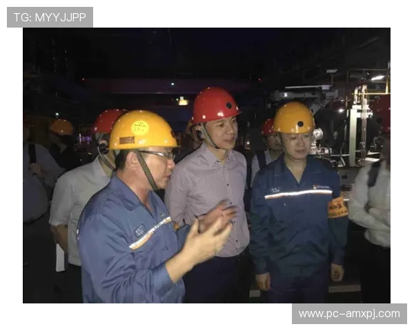 新裕公司与葡之京合作项目详细介绍及产业链整合方案 新裕公司与葡之京合作项目详细介绍及产业链整合方案