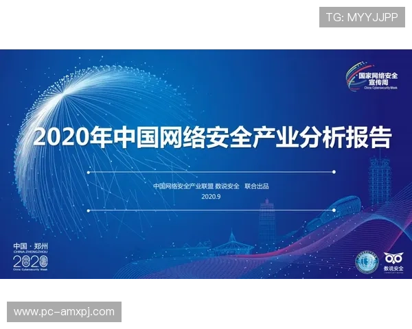 澳门葡京p91电子游戏安全性分析保障玩家个人信息与资金安全的措施