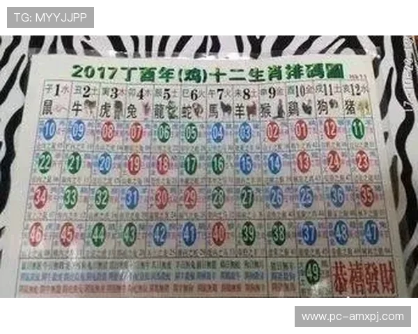 深入了解老澳门六合彩历史开奖记录与趋势分析提升你的中奖概率